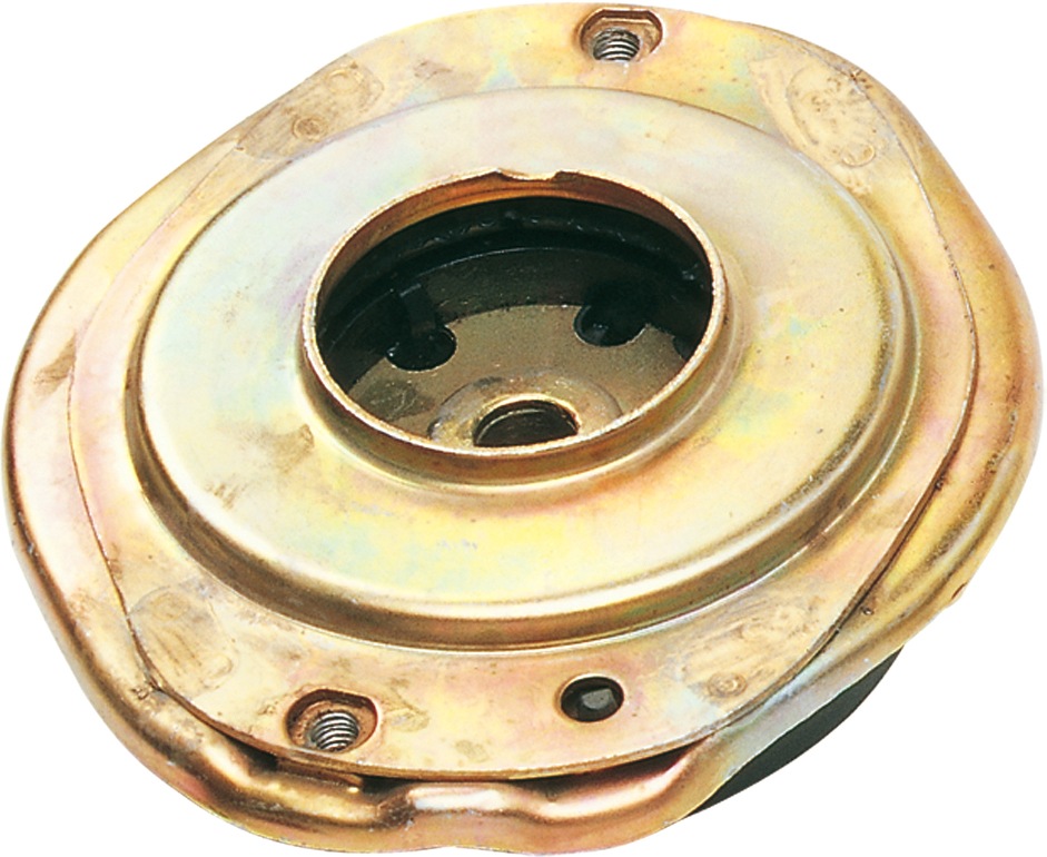 Veerpoot Gates SUS1588