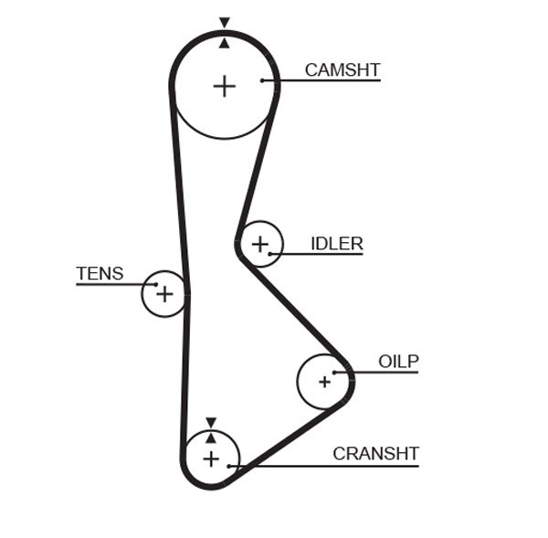 Distributieriem Gates T233