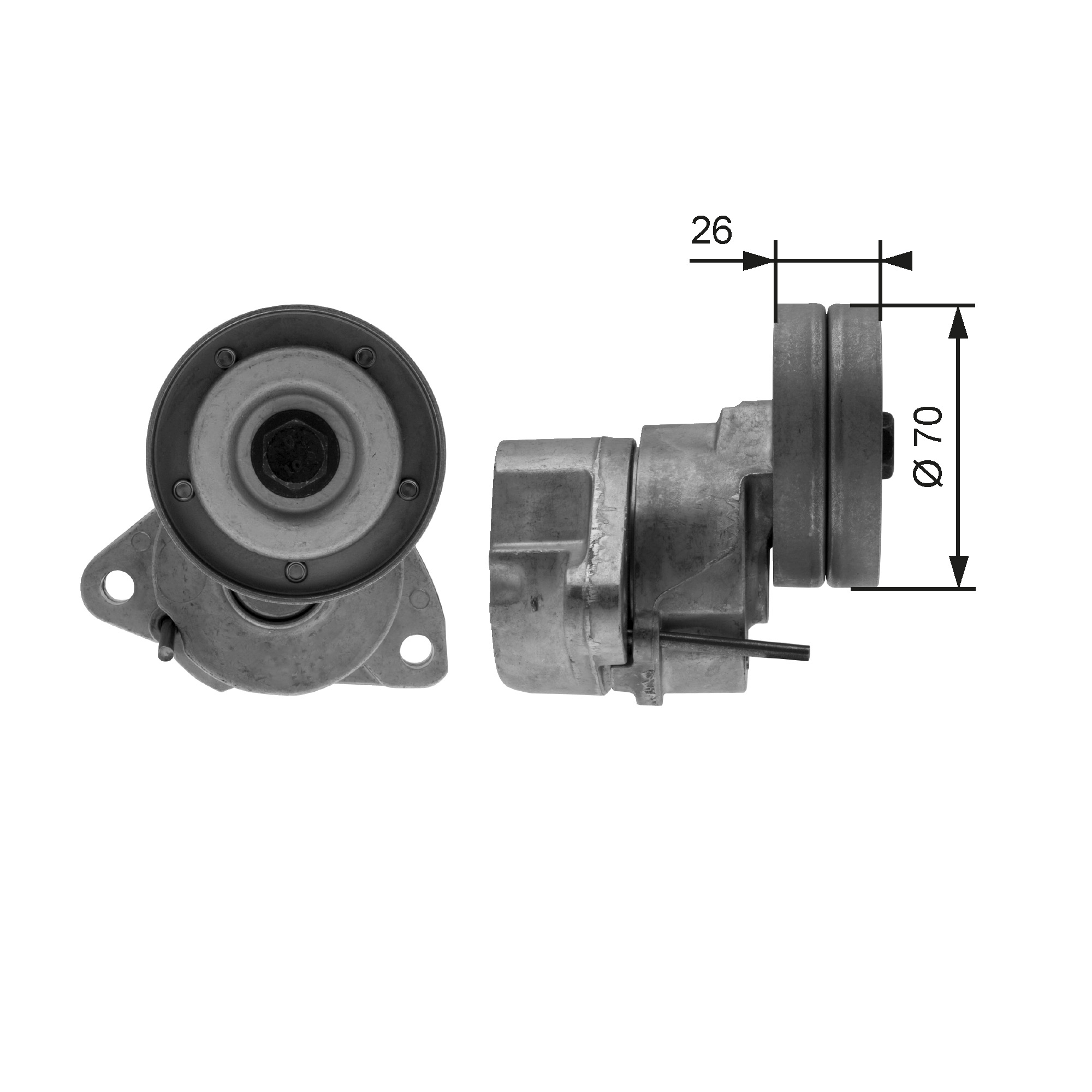 Spanner poly V-riem Gates T38154