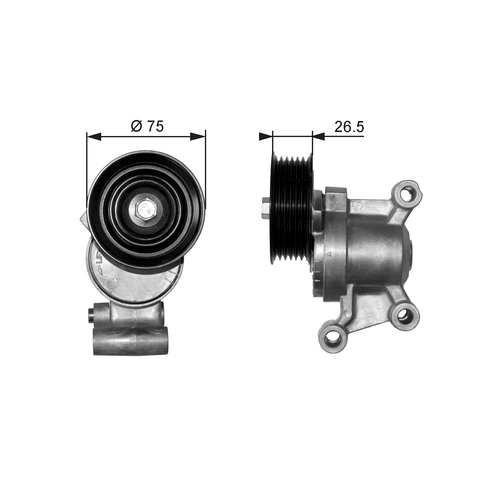 Spanner poly V-riem Gates T38357