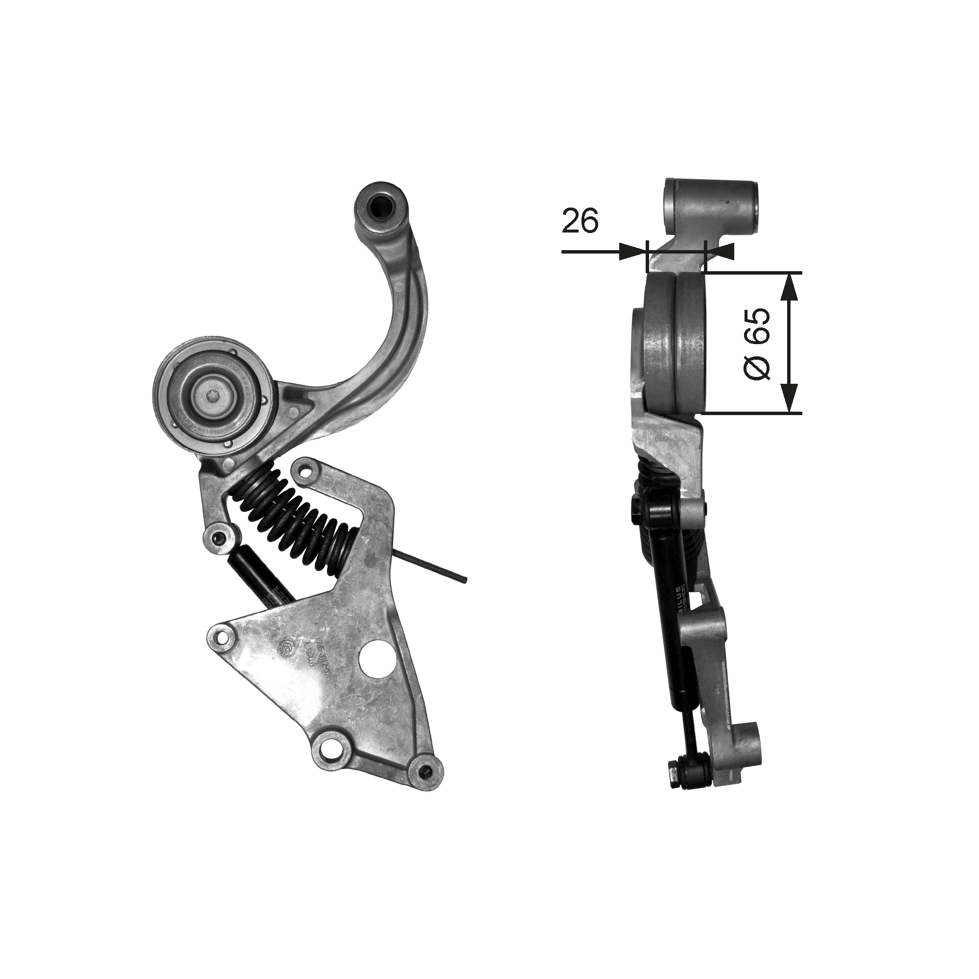 Spanner poly V-riem Gates T38404