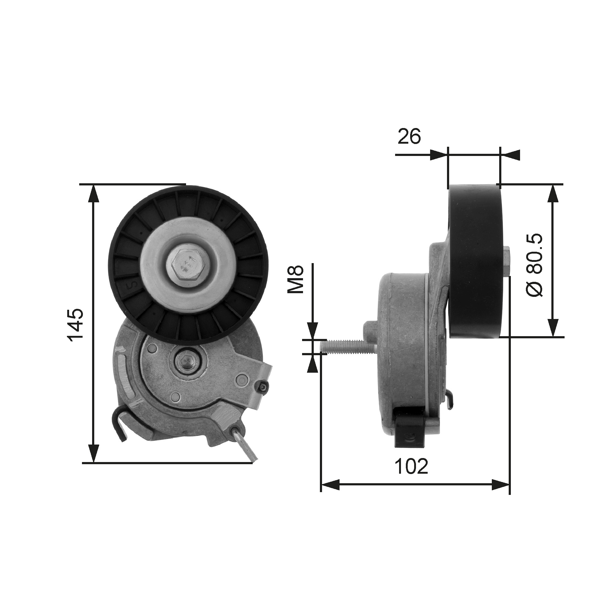 Spanner poly V-riem Gates T38473