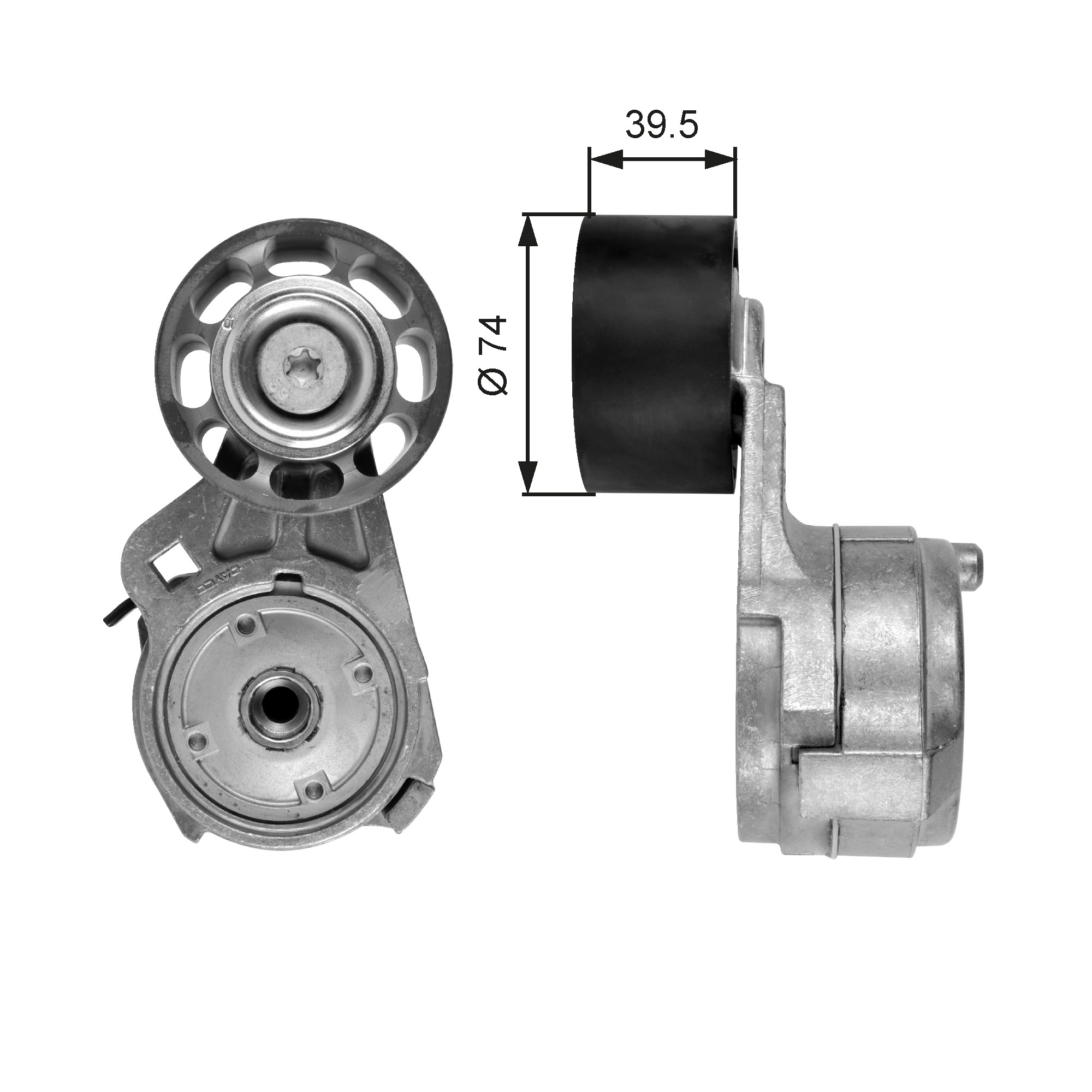 Spanner poly V-riem Gates T38582