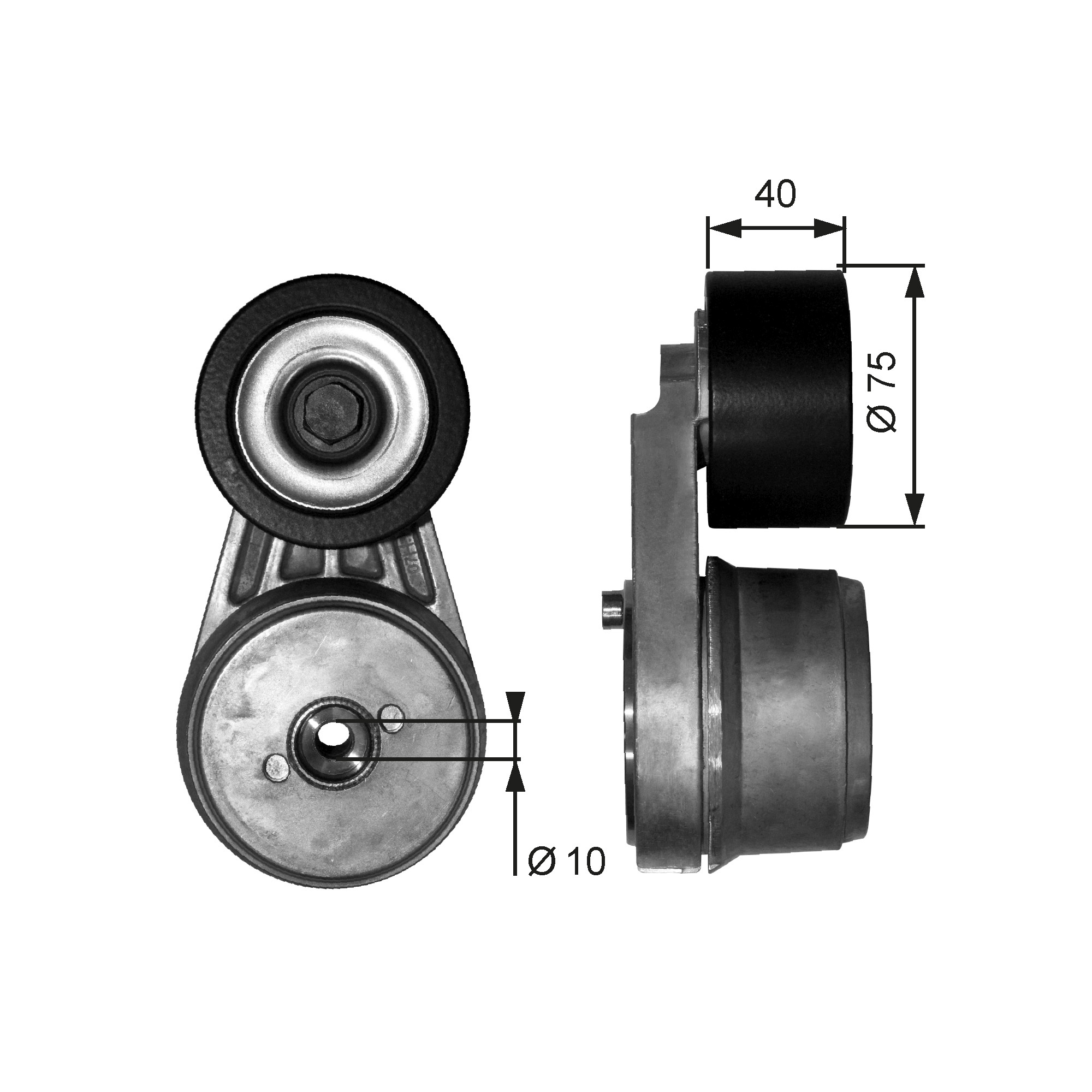 Spanner poly V-riem Gates T38642