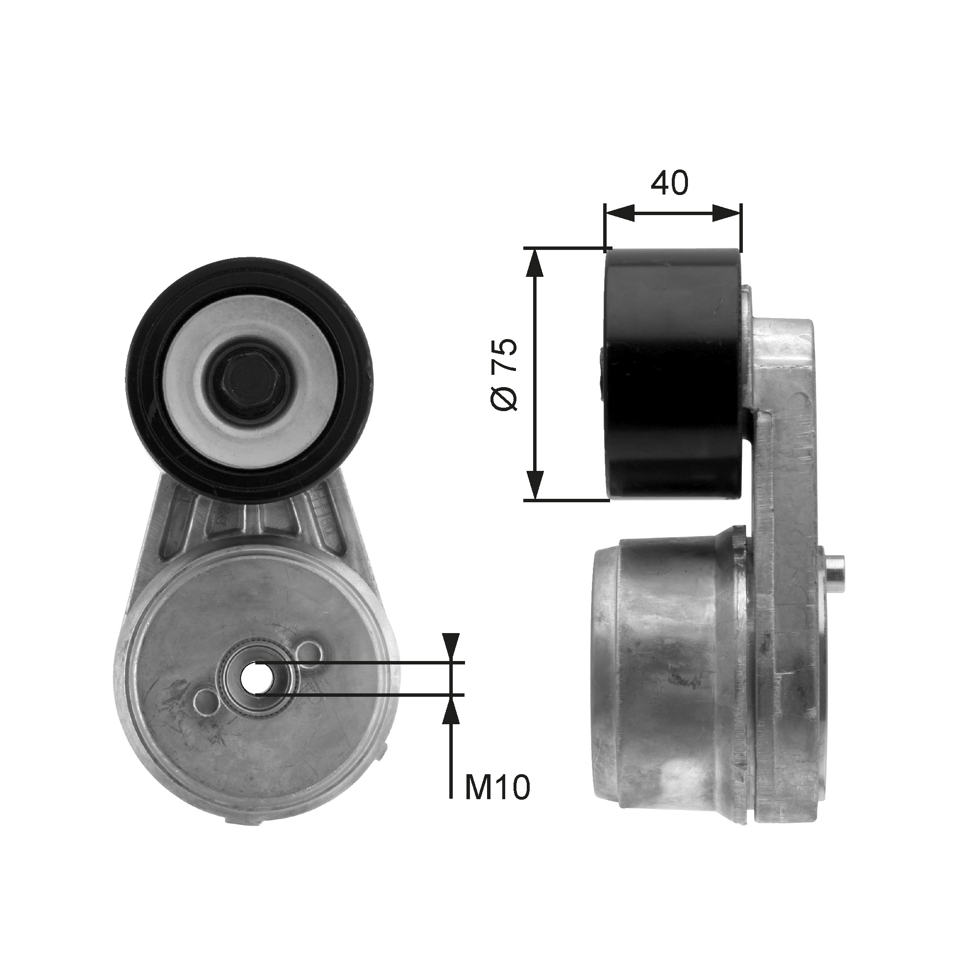 Spanner poly V-riem Gates T38647