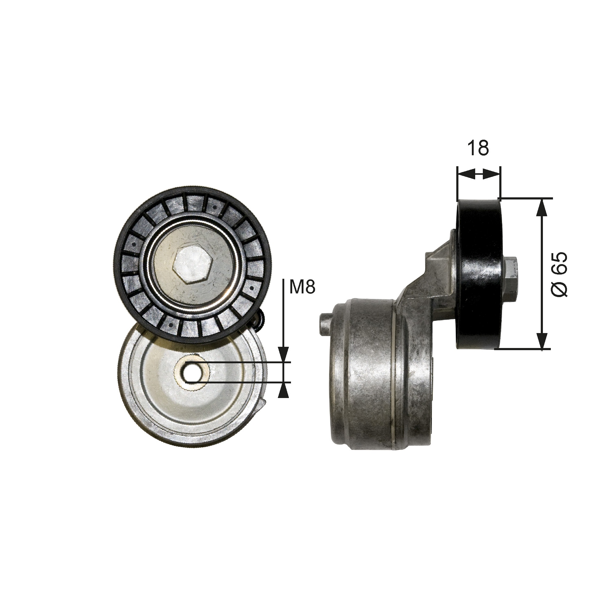 Spanner poly V-riem Gates T38652