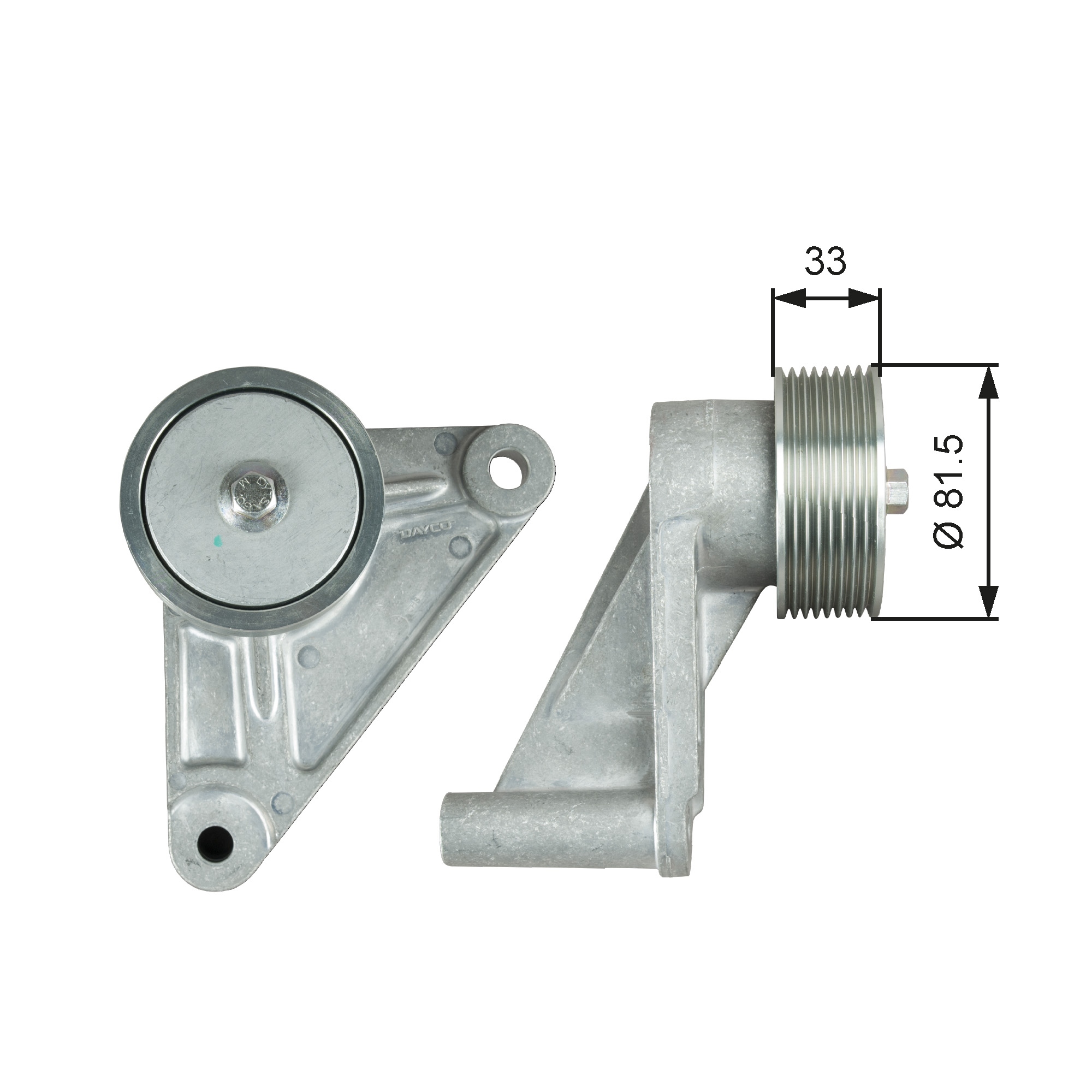 Spanner poly V-riem Gates T38716