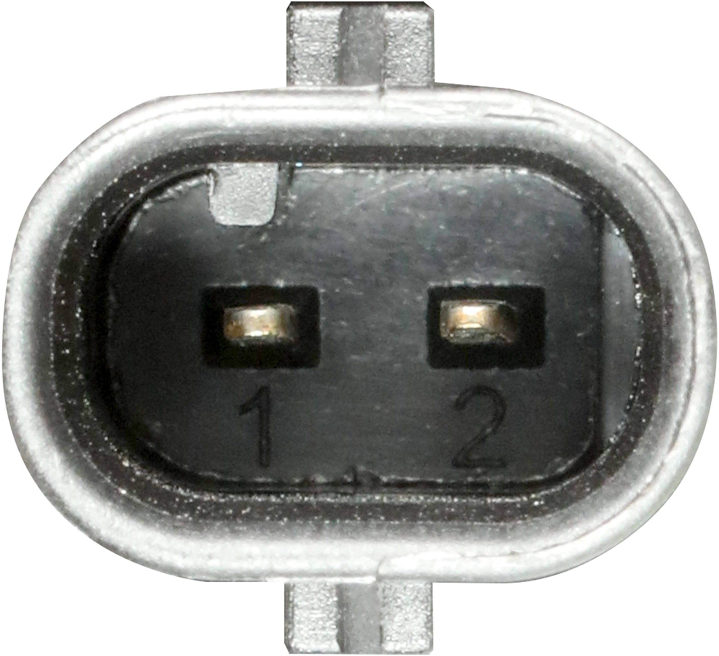 Gates Riemspanner, Poly V-riem T38798