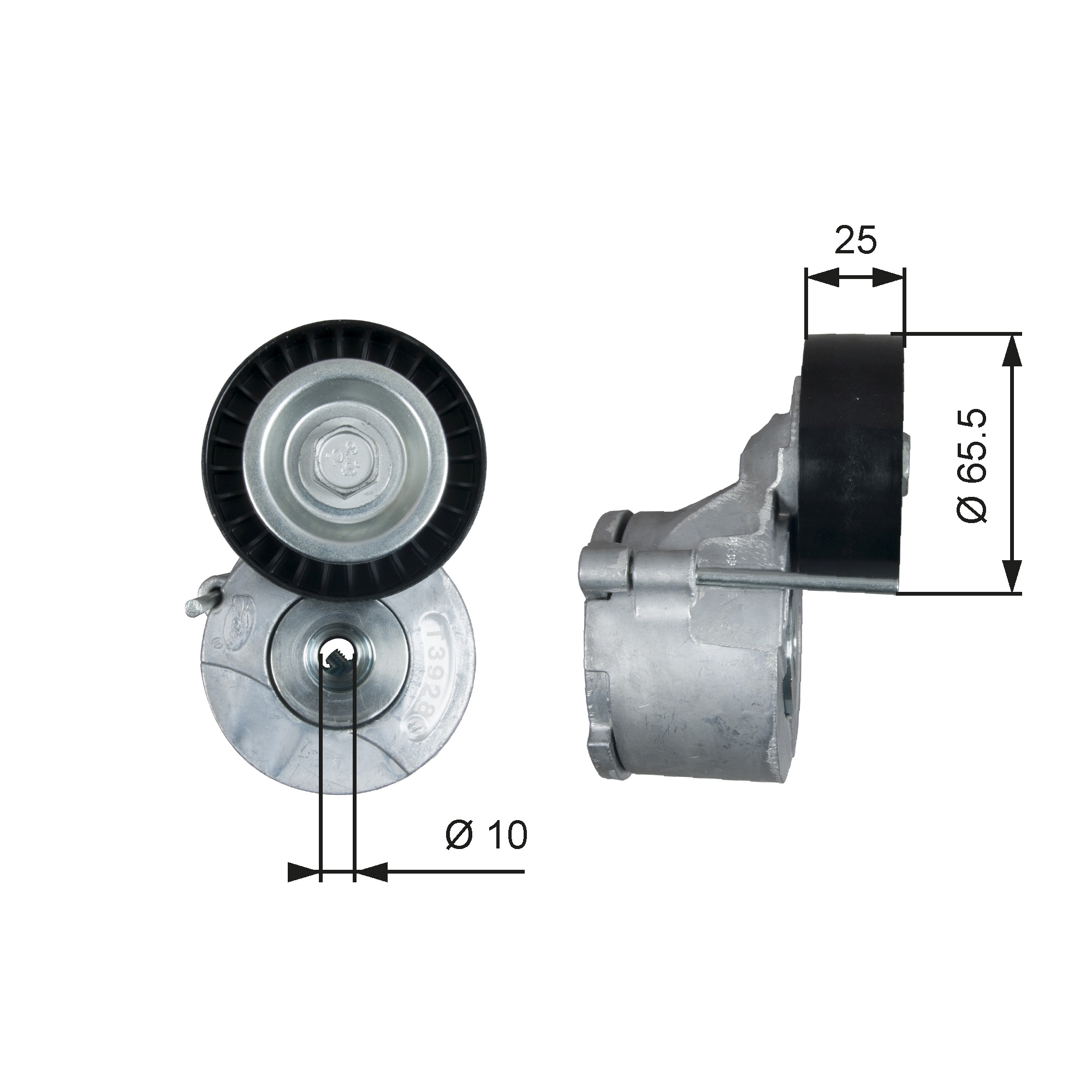 Spanner poly V-riem Gates T39281