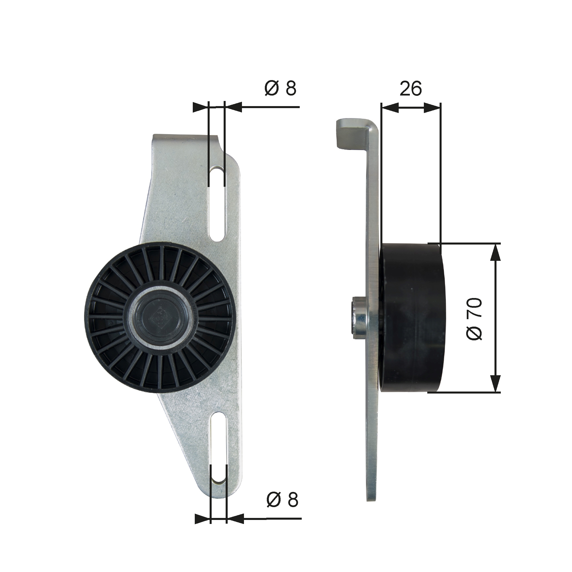 Spanner poly V-riem Gates T39393