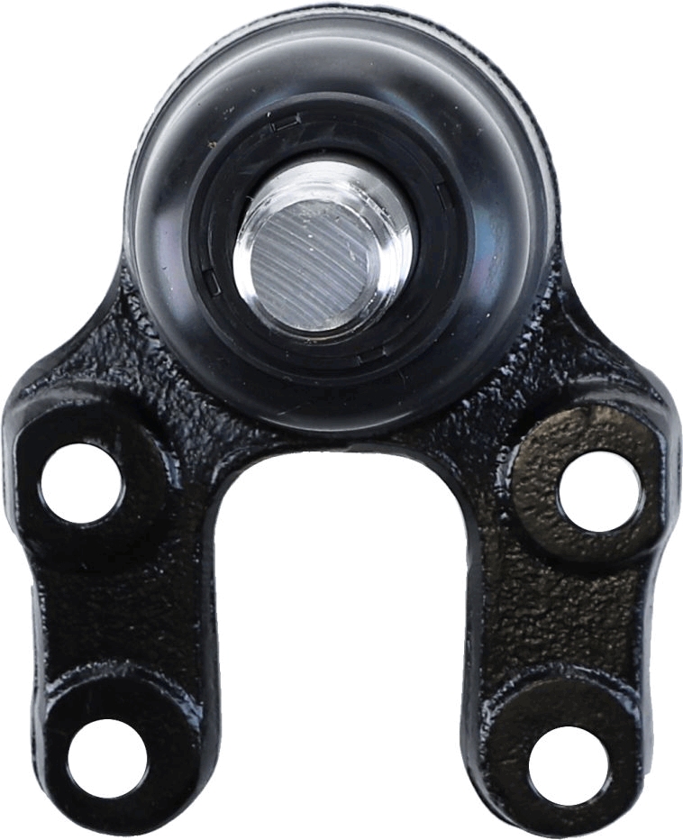 Lemförder Fuseekogel 11866 03