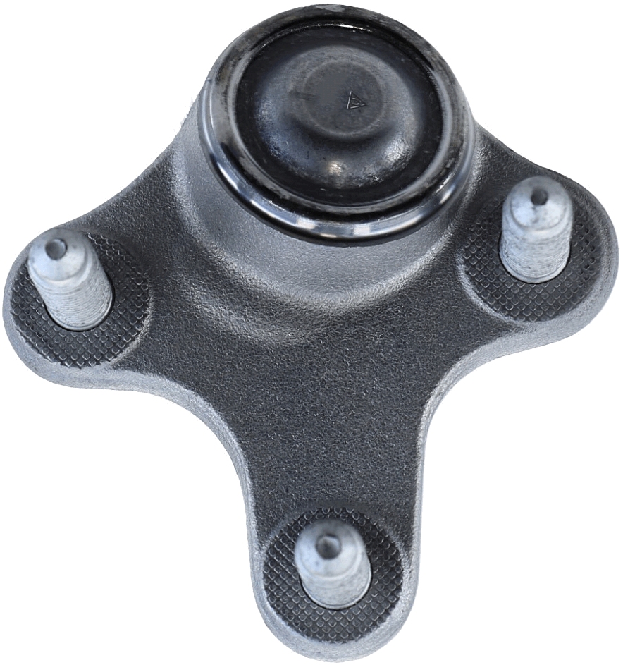 Lemförder Fuseekogel 26773 02