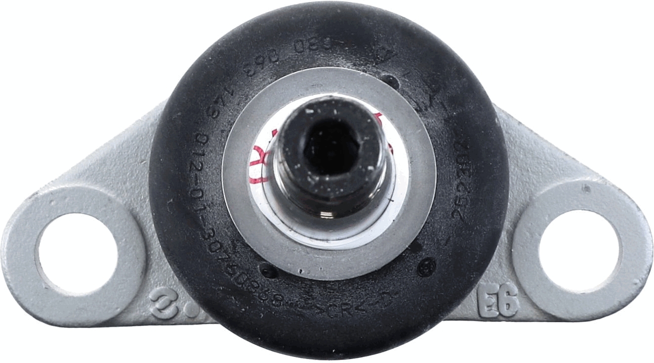 Lemförder Fuseekogel 26795 03