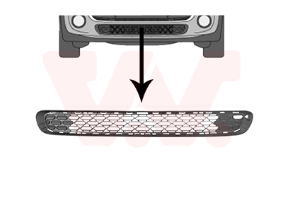 Grille Bodermann 1615375