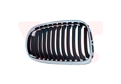 Grille links Van Wezel 0667515