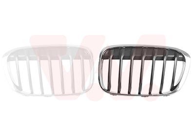 Grille Bodermann 1620362