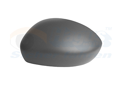 Afdekking, buitenspiegel Van Wezel 1648843