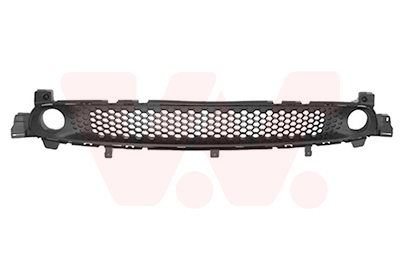 Grille Van Wezel 2916590