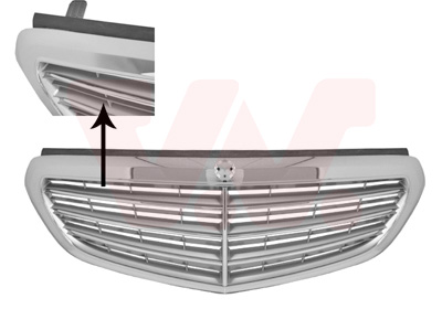 Grille Van Wezel 2942510