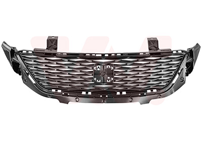 Radiateurgrille Van Wezel 4937510