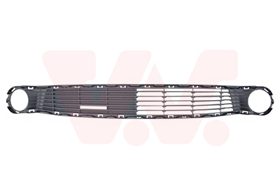 Grille Bodermann 8840360