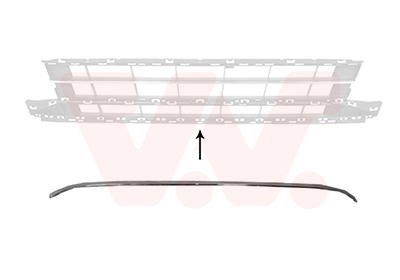 Grille Bodermann 9231145