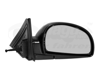 Van Wezel Buitenspiegel 8225804