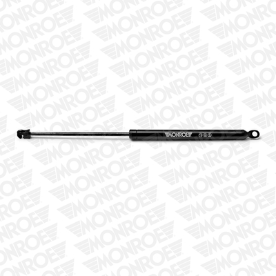 Monroe Gasveer, kofferruimte ML5906