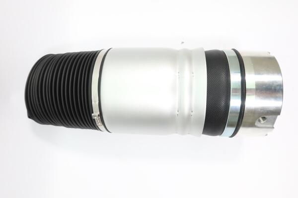 Monroe Luchtvering, chassis ASP004