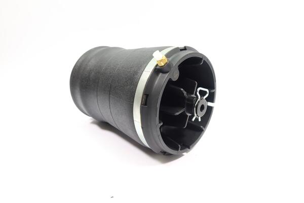 Monroe Luchtvering, chassis ASP006