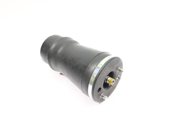 Monroe Luchtvering, chassis ASP012