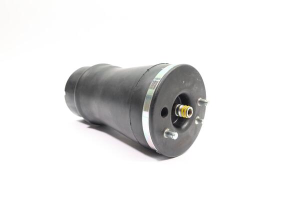 Monroe Luchtvering, chassis ASP012