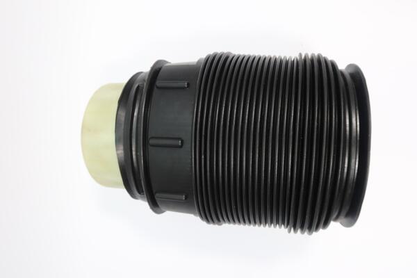 Monroe Luchtvering, chassis ASP015