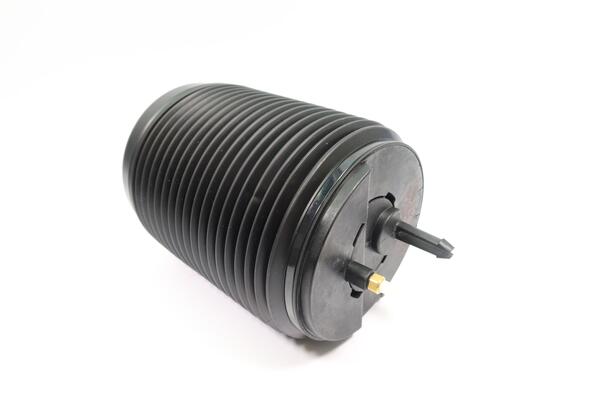 Monroe Luchtvering, chassis ASP016