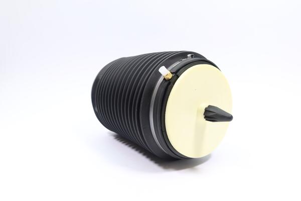 Monroe Luchtvering, chassis ASP019