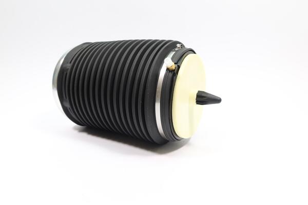 Monroe Luchtvering, chassis ASP019