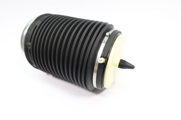 Monroe Luchtvering, chassis ASP019