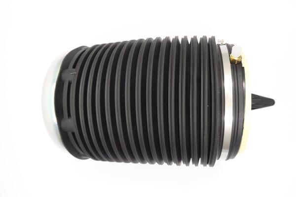 Monroe Luchtvering, chassis ASP019