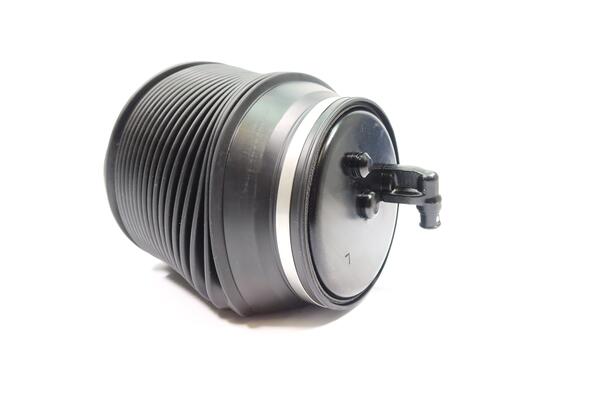 Monroe Luchtvering, chassis ASP022