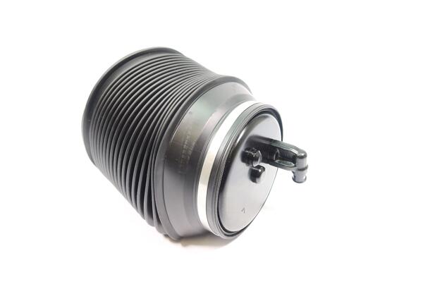 Monroe Luchtvering, chassis ASP022