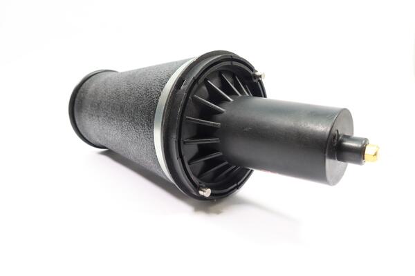 Monroe Luchtvering, chassis ASP024