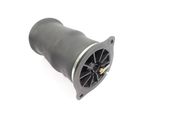 Monroe Luchtvering, chassis ASP034