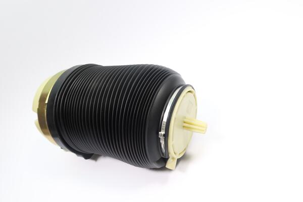 Monroe Luchtvering, chassis ASP035