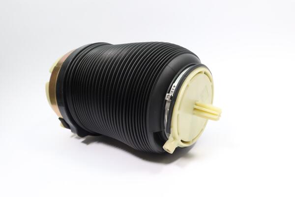 Monroe Luchtvering, chassis ASP035