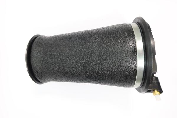 Monroe Luchtvering, chassis ASP037