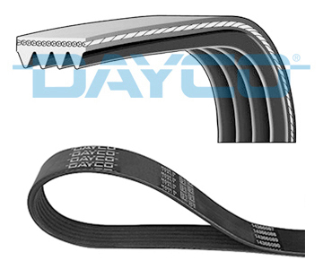 Poly V-riem Dayco 4PK805