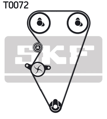 SKF Distributieriem kit VKMA 07301