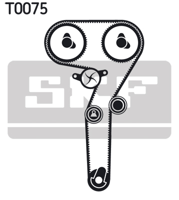 SKF Distributieriem kit VKMA 02172