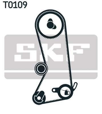 SKF Distributieriem kit VKMA 06301