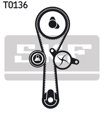 SKF Distributieriem kit inclusief waterpomp VKMC 06010